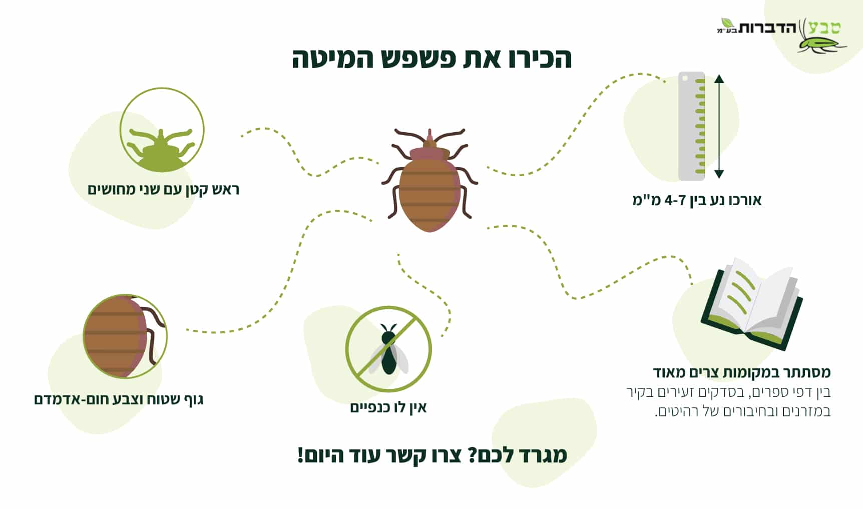 הכירו את פשפש המיטה