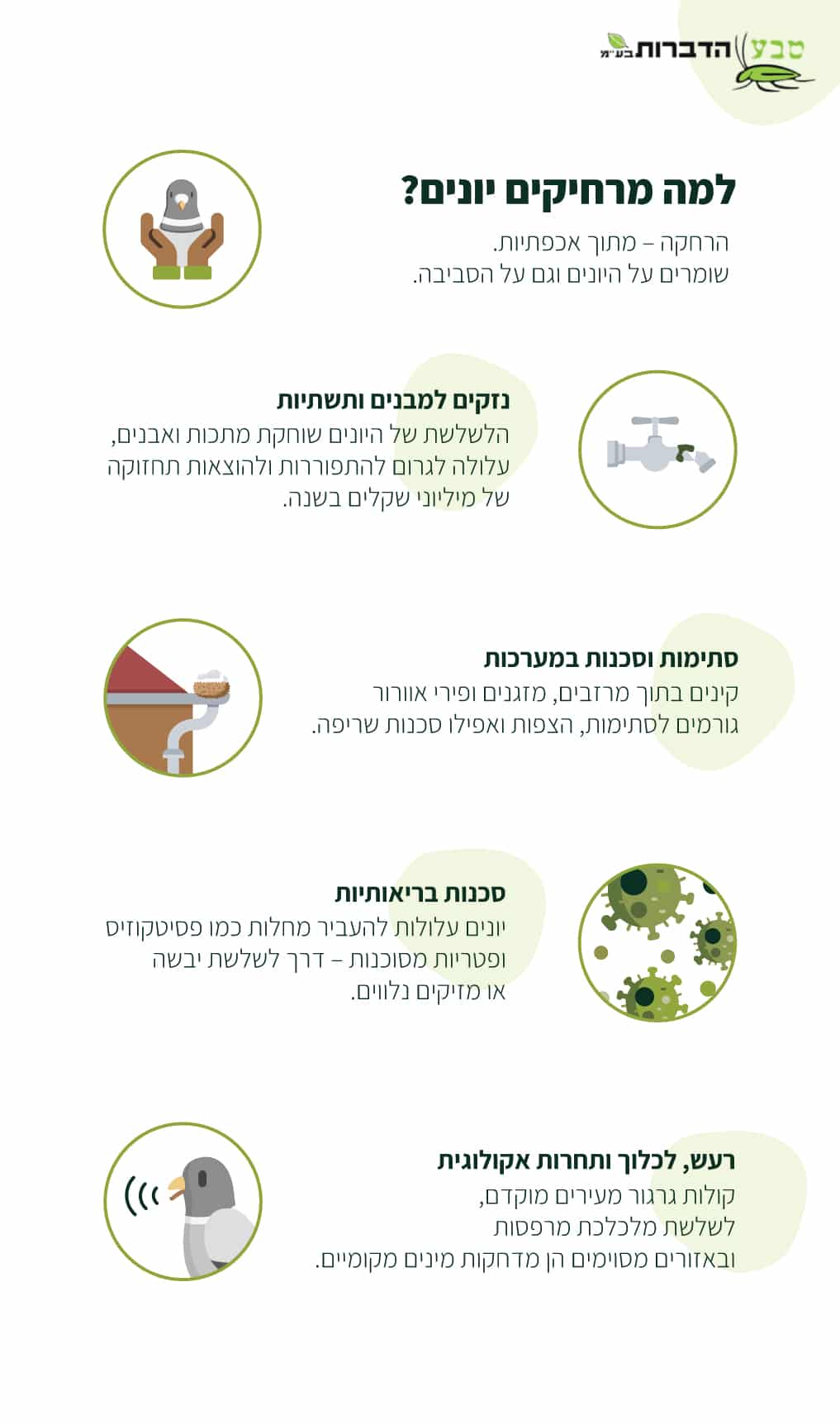 הרחקת יונים טבע הדברות