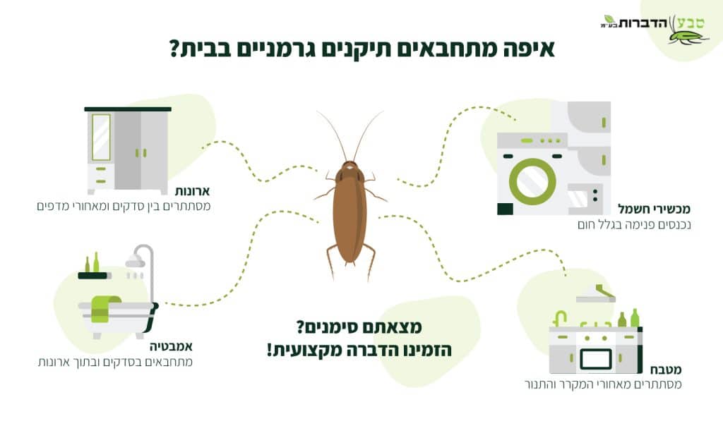 מקק תיקן גרמני