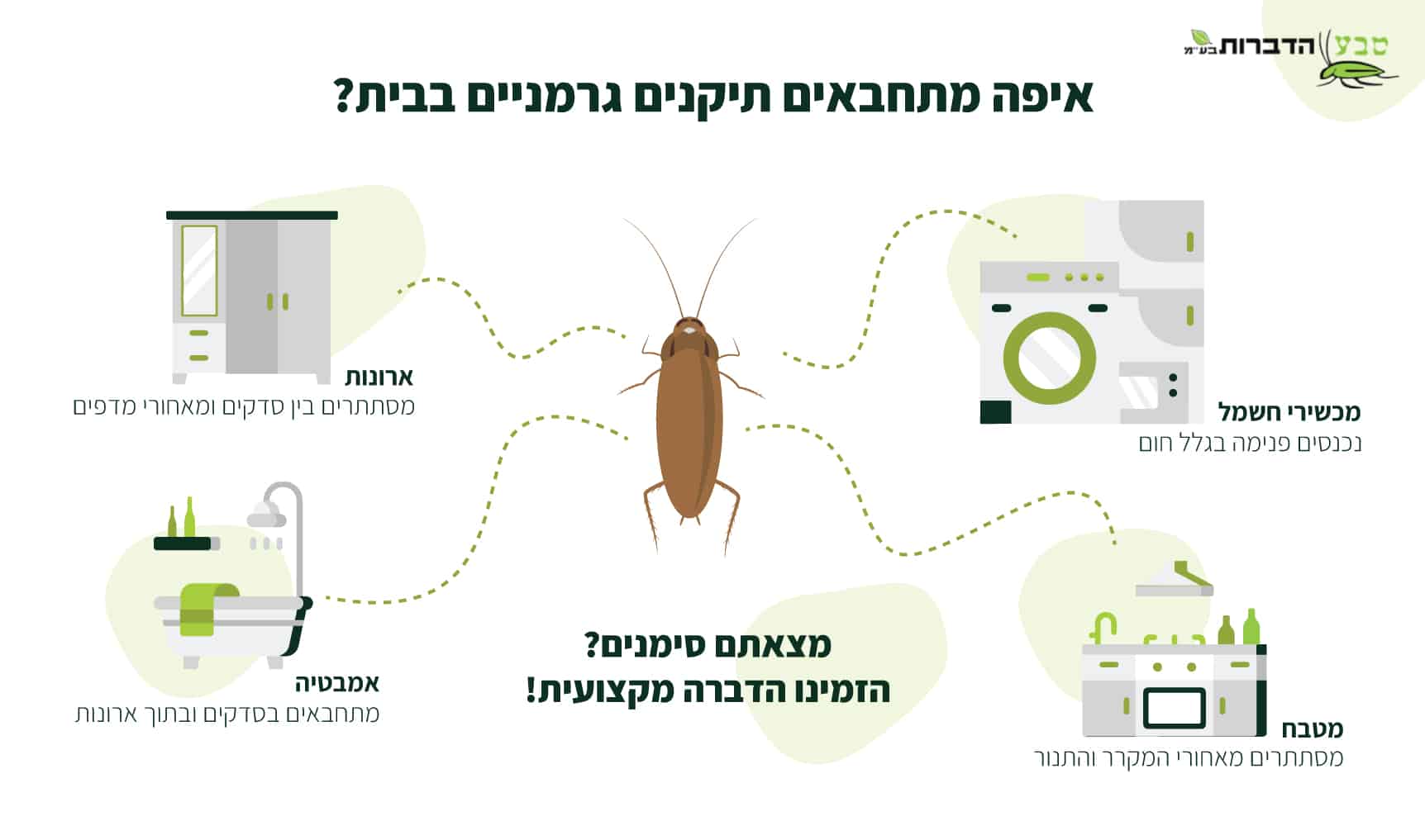 ריסוס נגד ג'וקים