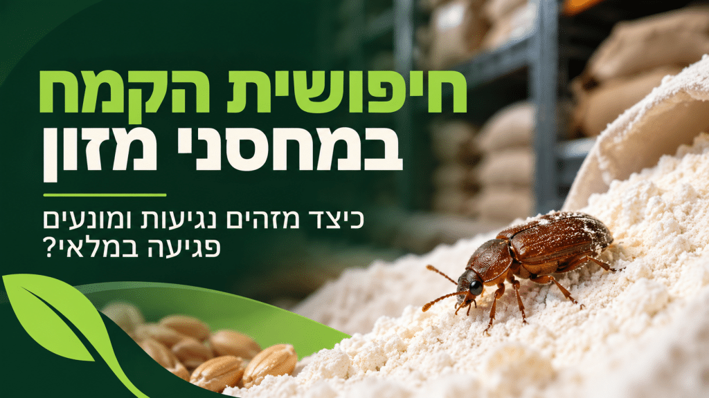 חיפושית הקמח